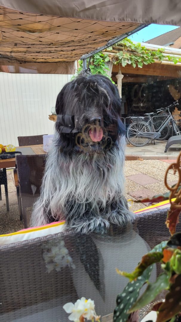 Mable, wo bleibst du?
